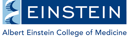 einstein-logo