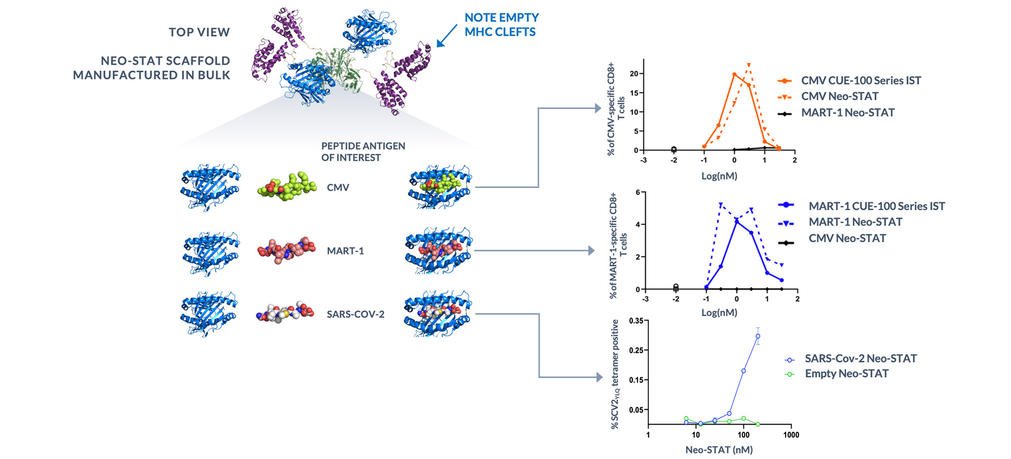 Immuno-STAT and Neo-STAT data image and graphs