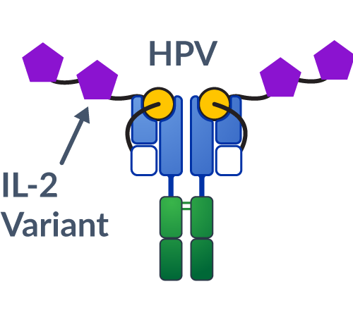 Immuno-STAT image