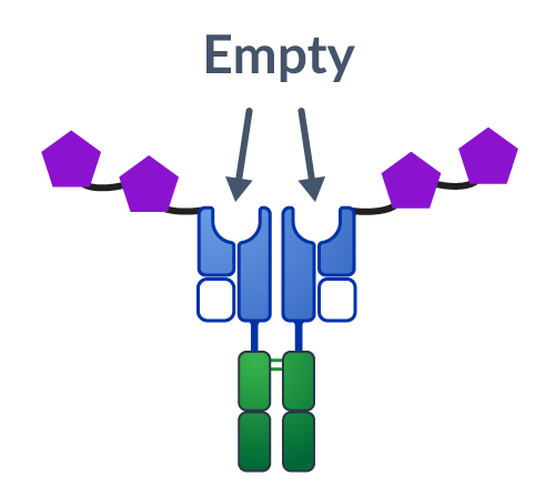 Neo-STAT image