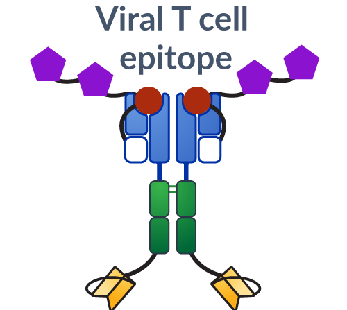 RDI-STAT image