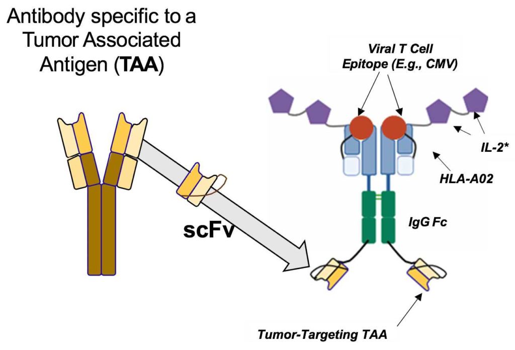 RDI-STAT Molecular Design diagram